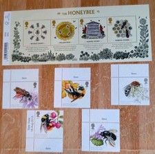 honey bees for sale honey bees for sale BRADFORD