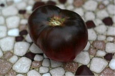 Pomodoro nero crimea usato  Napoli