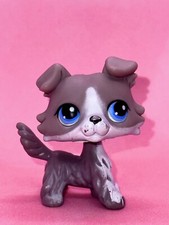 LPS Hasbro brązowy biały collie pies #67 - Autentyczny najmniejszy sklep zoologiczny na sprzedaż  PL