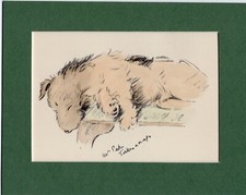 Lucy dawson welsh for sale  SPALDING