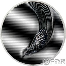 zebra usato zebra usato Ciampino