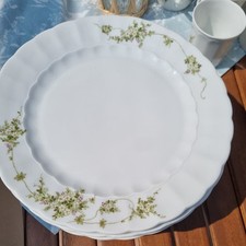Speiseteller eschenbach geblü gebraucht kaufen  Poing
