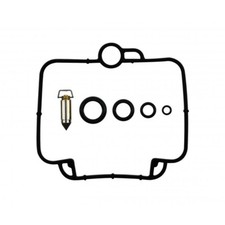 Carburetor repair kit for sale  BRIGHTON