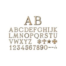 Lettere bronzo per usato  Palermo