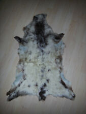 Fell kuhlfell wildschweinfell gebraucht kaufen  Gummersbach