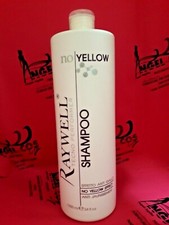 Raywell shampoo professionale usato  Frattaminore