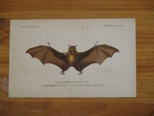 Gravure originale atlas d'occasion  Saint-Médard-en-Jalles