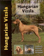 Hungarian vizsla robert for sale  WOODBRIDGE