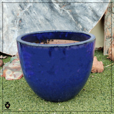 Vaso blu cobalto usato  Civitanova Marche