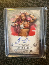 Sasha banks mercedes usato  Torre Canavese