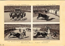 Card mexican bull for sale  Portland
