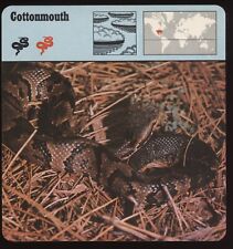 Cottonmouth snake safari for sale  Waupun