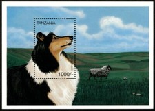 Tanzânia 1996 - Rough Collie, Dogs - Folha de selo de lembrança - Scott #1528 - MNH comprar usado  Enviando para Brazil