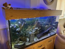 4ft glass tank for sale 4ft glass tank for sale FAREHAM