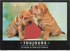 Animaux chiens shar d'occasion  Fruges