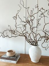 Real decorative dried for sale  LIVERPOOL