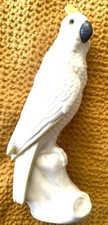 New white parrot for sale  LONDON
