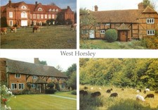C16008 west horsley for sale  LONDON