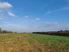 Terreno agricolo collinare usato  Brindisi