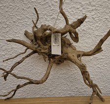 Rote moorwurzel trocken gebraucht kaufen  Bünde