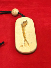 Prehistoric fish fossil for sale  San Jose