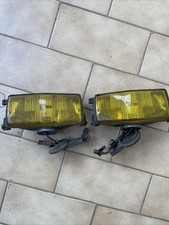 Coppia fendinebbia renault usato  Milano