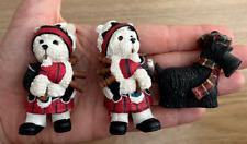 Scottish dog dogs for sale  STOKE-ON-TRENT