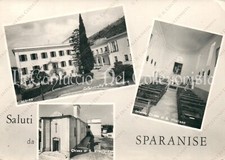 sparanise usato sparanise usato Cremona