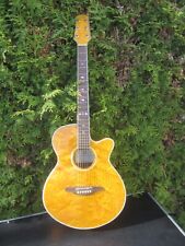 Elektro akustik gitarre gebraucht kaufen  Hohenstein-Ernstthal