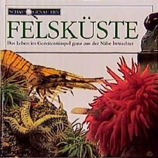 Schau genau hin gebraucht kaufen  Berlin