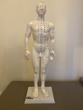Standard acupuncture model for sale  INVERURIE