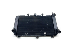 Radiatore radiator acqua usato  Frattaminore