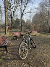 Rockrider mountainbike zoll gebraucht kaufen  Chemnitz