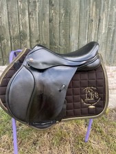 16.5 kent masters for sale  LLANGOLLEN