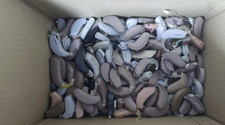 Massive job lot for sale  MILTON KEYNES