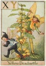Yellow deadnettle fairy. for sale Yellow deadnettle fairy. for sale  LONDON