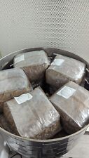 Master mix substrate for sale  TAUNTON