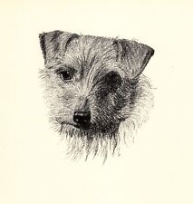 Antique norwich terrier for sale  Harborton