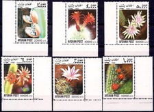 Afghanistan 1999 piante usato  Trambileno