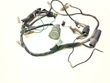 Cablaggio elettrico wiring usato  Italia