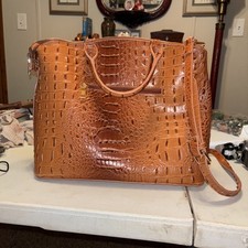 Orange alligator print for sale  Franklin