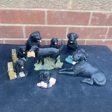 Black labrador retriever for sale  BEDWORTH