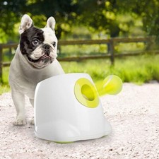 Paws automatic dog for sale  BRIGHTON