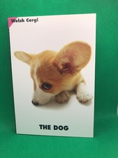Welsh Corgi o cão Artista 6in Foto Livro Com Cartões Postais Japonês, usado comprar usado  Enviando para Brazil