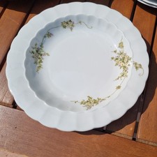 Speiseteller eschenbach geblü gebraucht kaufen  Poing