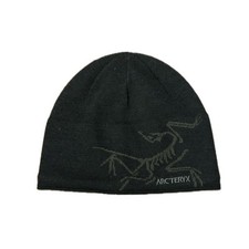 Arcteryx green beanie usato  Ronchi dei Legionari
