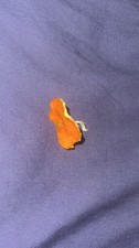 Orange peel for sale  LUTON