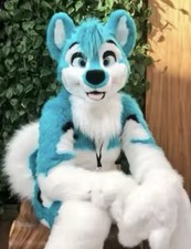 Furry fursuit kostüm gebraucht kaufen  Zell