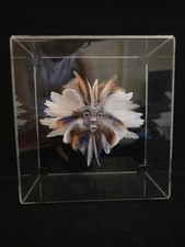 Robert shields feathered for sale  Henderson