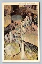 Cartão postal vintage Crystal Cave PA, Prairie Dogs, Pensilvânia comprar usado  Enviando para Brazil